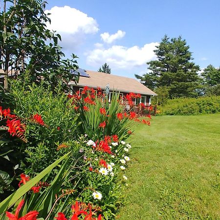 Spacious Country Retreat Close To Town And Nature, Sylvana Farm Vt Montpelier Ngoại thất bức ảnh